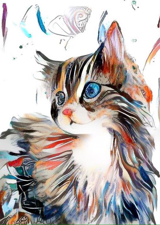 Chat multicolor