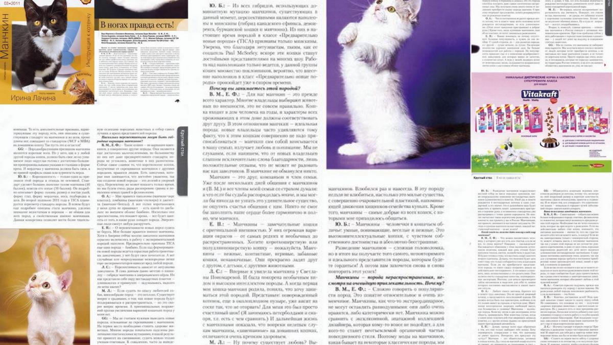 Munchkin magazine russe part2b