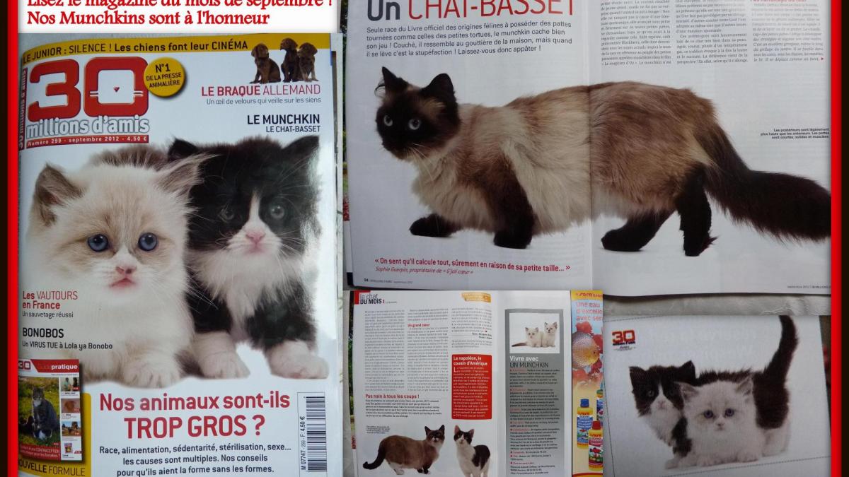 Article 30 millions d amis 2012a