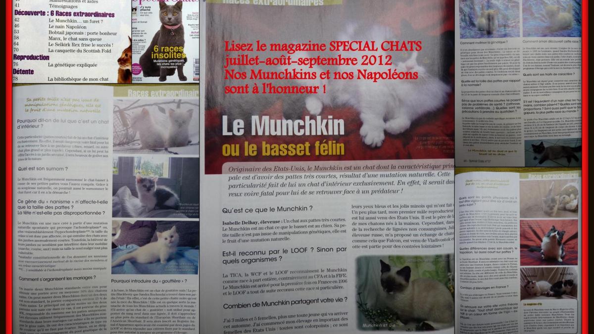Article special chats 2012a