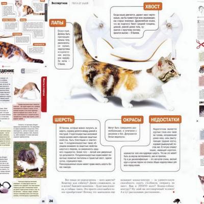 Munchkin magazine russe part1b